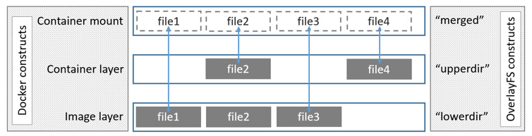 1646438155906-a2f492c4-496e-4e8a-8e45-e5c4da16277a.png