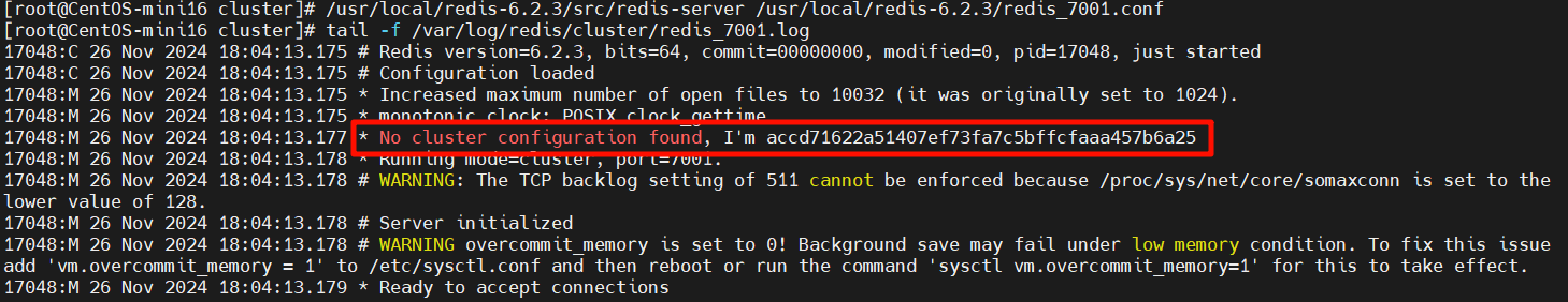 image-20241126181336785