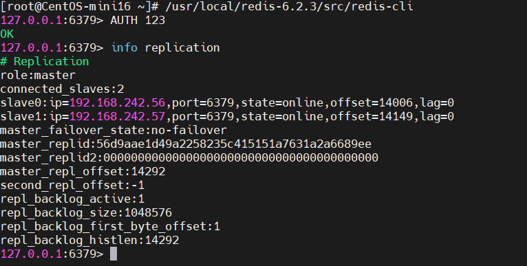 image-20241126013825732