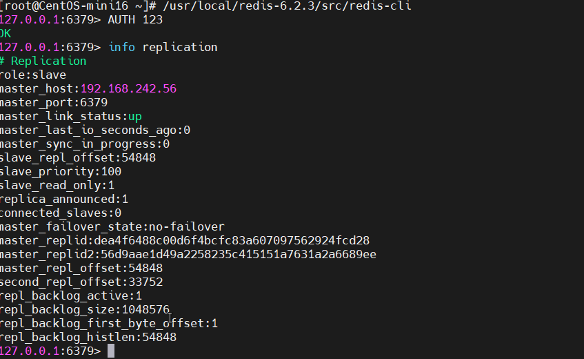 image-20241126014238451