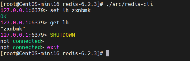 image-20241125170911882